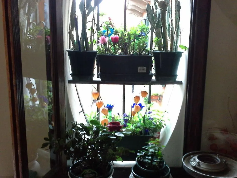 Guest house Venice Rainbow Apartment San Marco